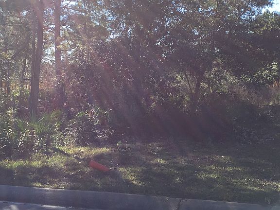 2nd image of 1443 W Shores Blvd