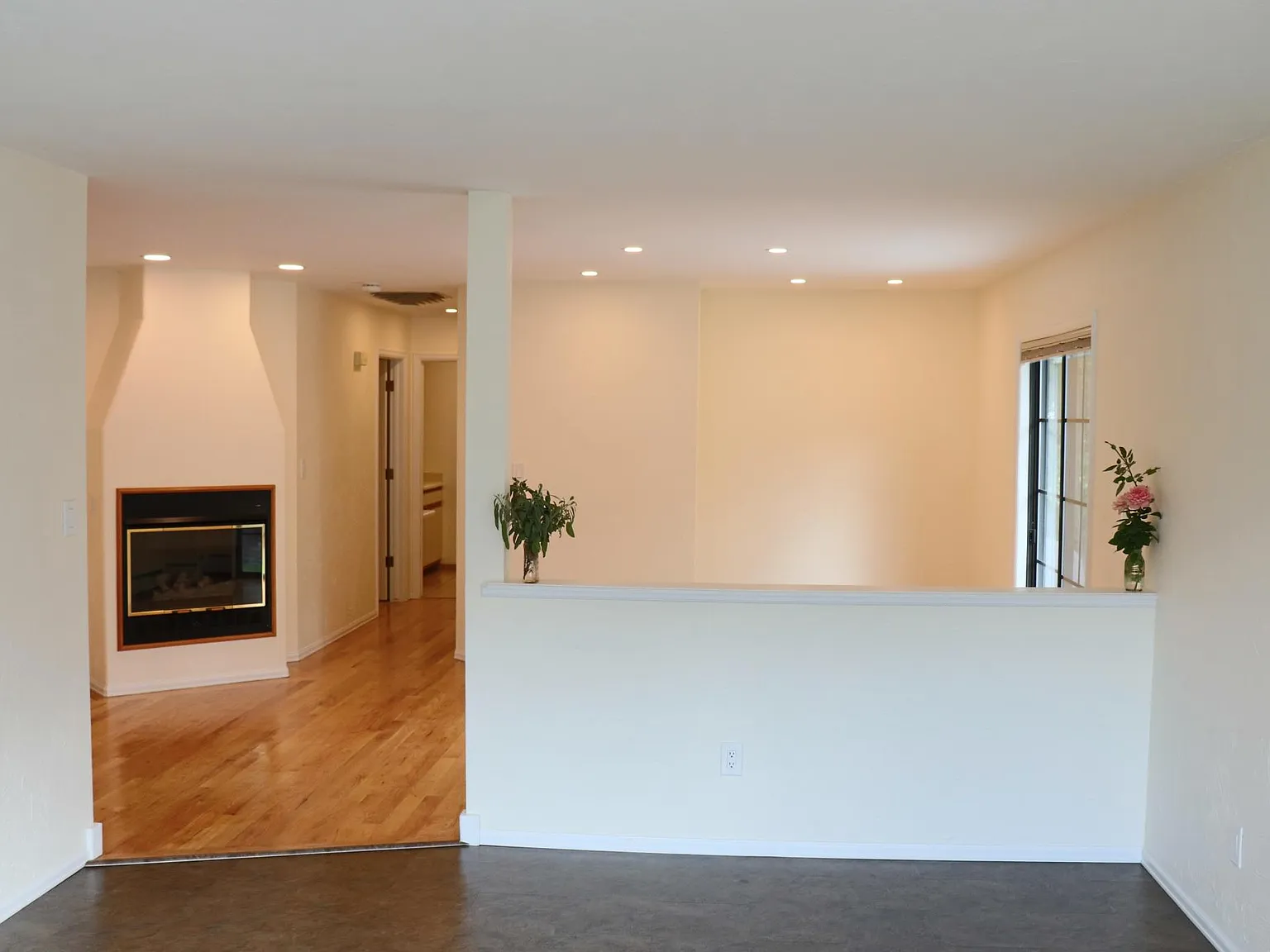 514 Rado Dr — Photo 3