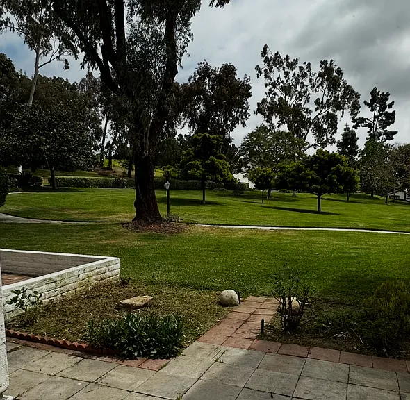 1351 Camino Teresa — Photo 11