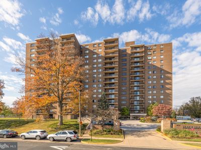 200 N Pickett St APT 304, Alexandria, VA, 22304