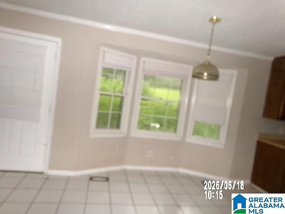 5th image of 11647 Skelton Rd