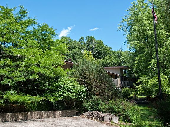 Plenty of privacy from trees