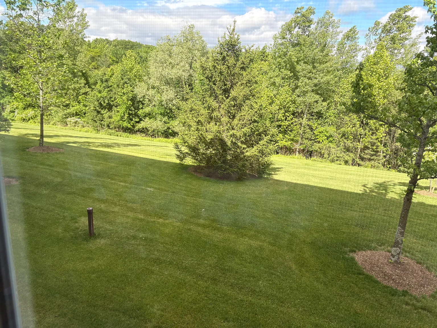 1 bed, $1,650 — Photo 2