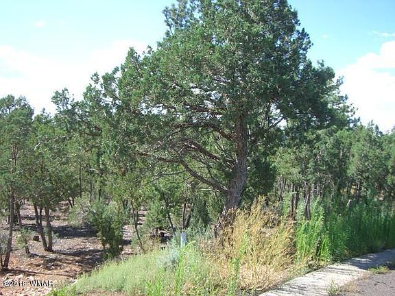 4th image of 1500 N Bear Hollow Ln Lot 6