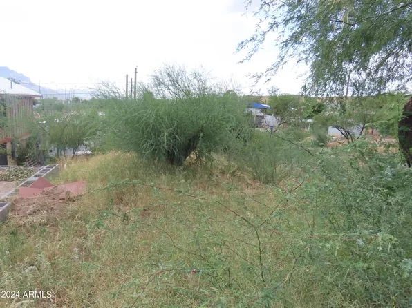 100 BLK N NEARY AVE 8 Avenue #8, Superior, AZ 85173