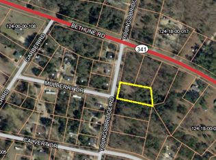 2948 Youngs Bridge Rd, Bethune, SC 29009