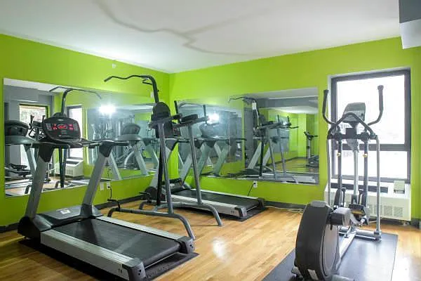 Rented by Urban Sanctuary | media 41