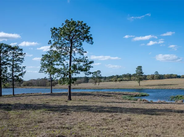 415 Evergreen Trl Lot 225, Woodville, TX 75979