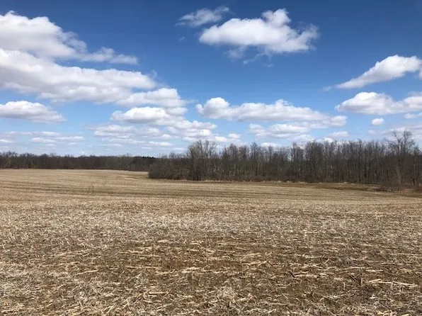 Gale Rd, Gale, MI 48857