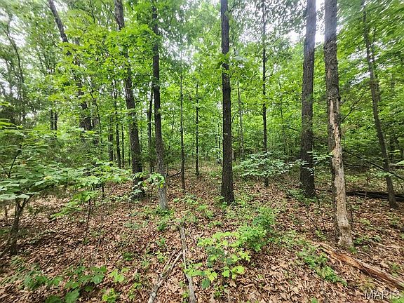 3rd image of 5853-M Missouri #5