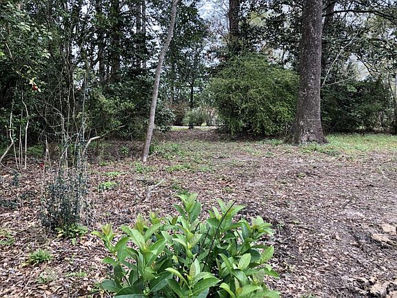5th image of 113 Acacia Dr