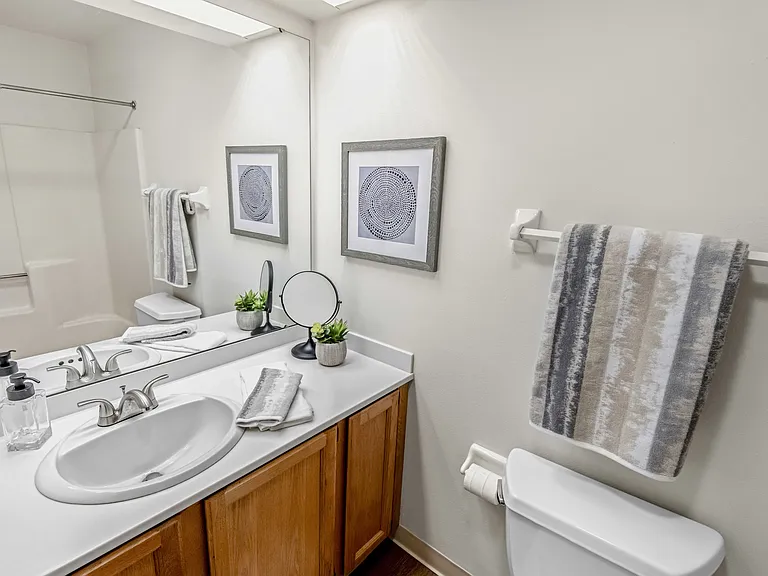 Foxcroft Apartments Bathroom