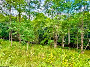 46 Thunderstruck Rd, Harman, WV 26270