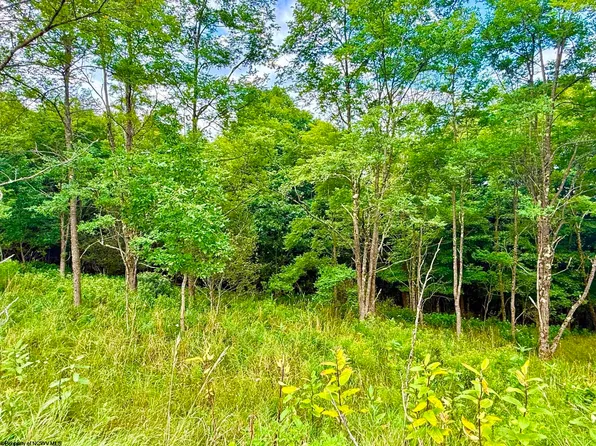 46 Thunderstruck Rd, Harman, WV 26270