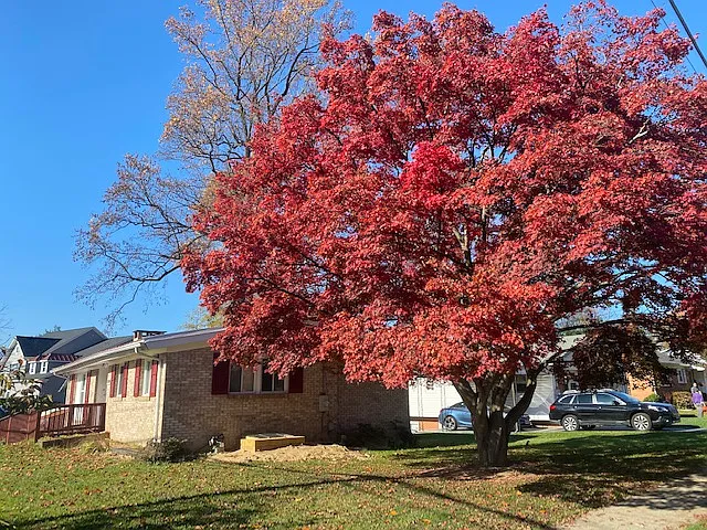 11308 Newport Mill Rd
