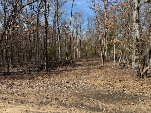 Mary St, Wellston, MI 49689
