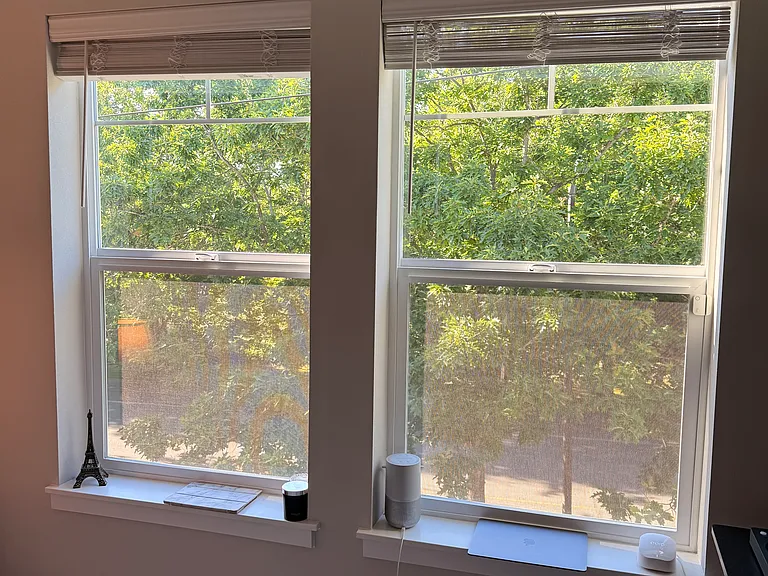 Master Bedroom Windows - North Facing