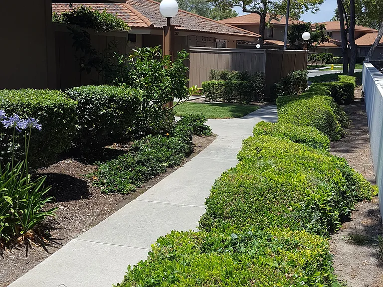 Fuschia Ln — Photo 9
