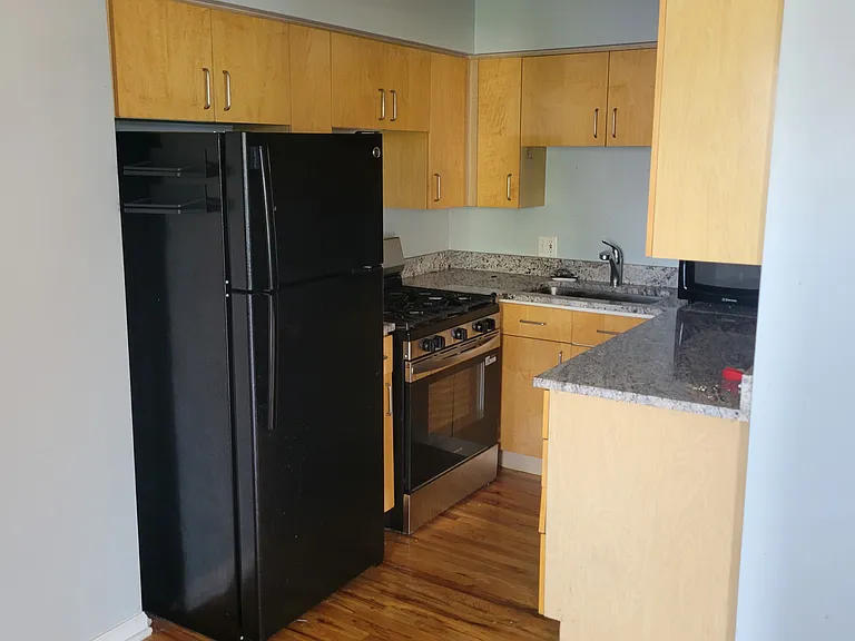 1339 N Damen Ave #2S — Photo 1