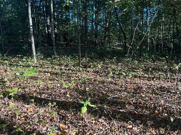 179 Woodstock Dr, Rutledge, TN 37861