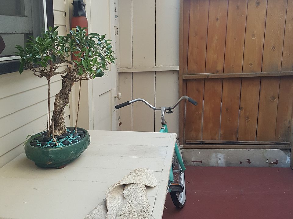 Back of cottage area
