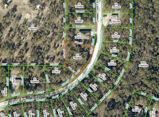 Chimney Swift Rd LOT 15, Brooksville, FL 34614