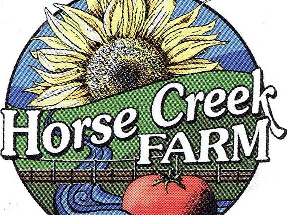 2nd image of 12 Horse Creek Rd