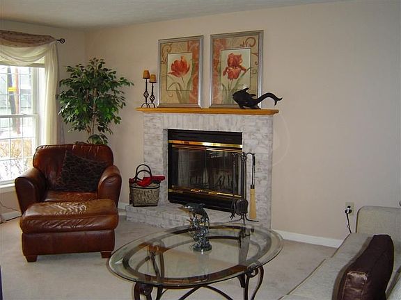 Fireplace in living room