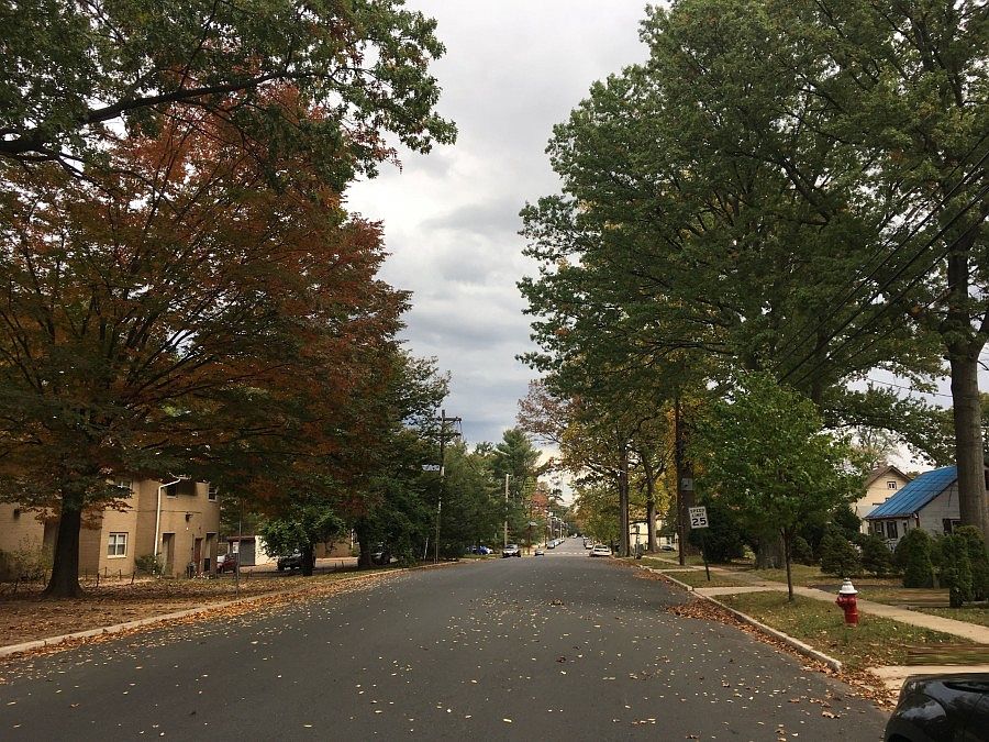 2nd image of 1345-47 Myrtle Ave