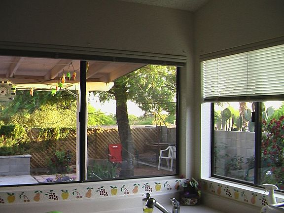 Southern Facing Back Yard