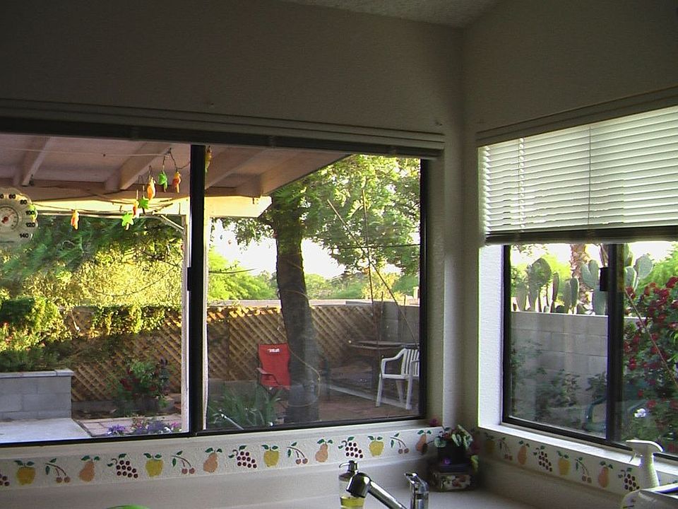 Southern Facing Back Yard
