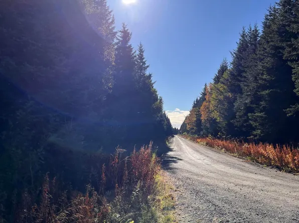 L5 Shegota Loop, Ninilchik, AK 99639