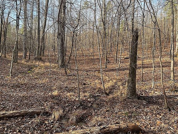 4th image of 34 Acres Of Gorgeous Private Woods