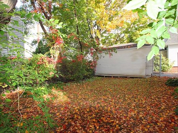 Fenced In Backyard