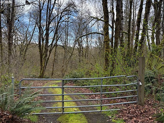 2nd image of Tide Creek Rd