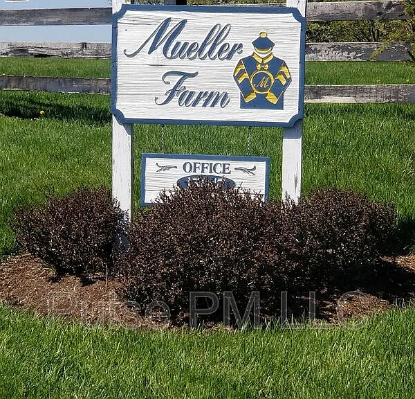 15047B Porter Rd #MUELLER FARM — Photo 16