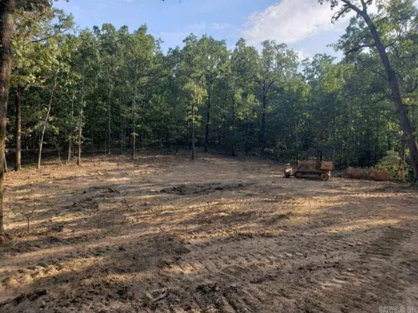 54 Arnoldsburg S, Conway, AR 72032