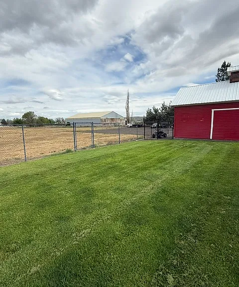 Fenced backyard