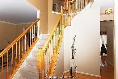 3251 Gossett Ct photo 1