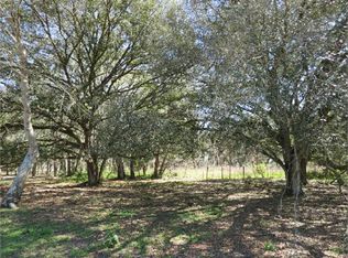 10036 S Cr 39, Lithia, FL 33547