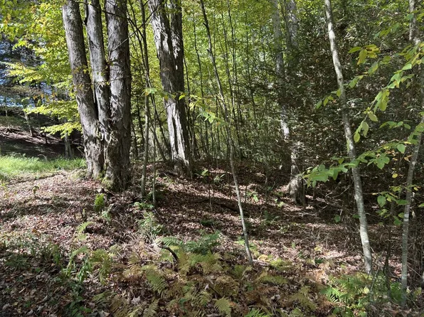 9 Possum Hollow Rd, Terra Alta, WV 26764