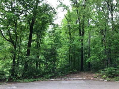 NW Cumberland Wood Dr Lot 6, Knoxville, TN, 37921