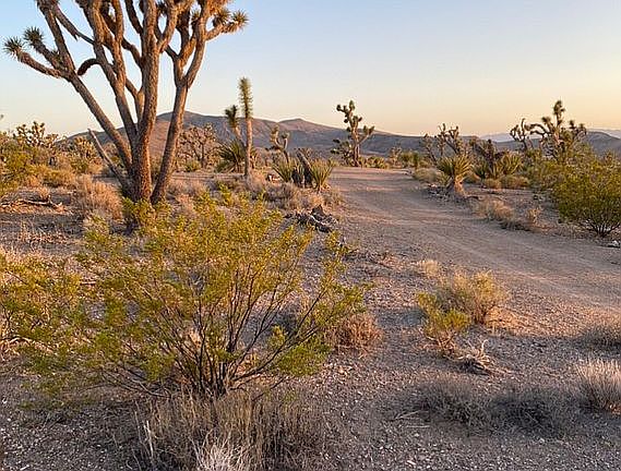 4th image of Vacant Desert Land