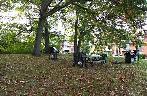 Picnic and BBQ Area