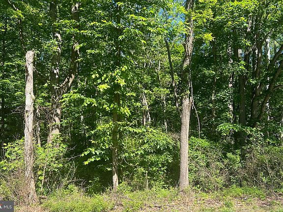 3rd image of Cold Run Valley Rd