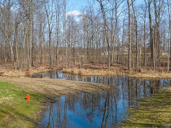 5th image of 14830 County Line Rd