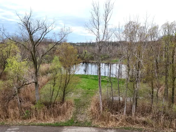 Tulip Tree Ln, Cassopolis, MI 49031