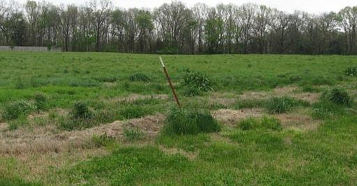 4th image of 4046 Bridlewood Dr Lot 8