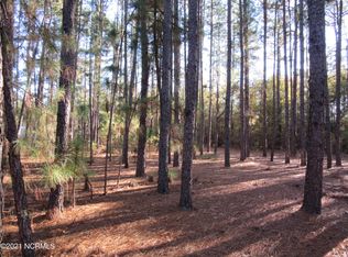 2-3 Tract 23, Lumber Bridge, NC 28357