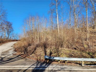 0 W Captina Highway Rd, Alledonia, OH, 43902
